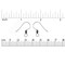 JewelrySupply Sterling Silver Earring Wires with Rope Design (1 Pair of Sterling Silver Earrings)